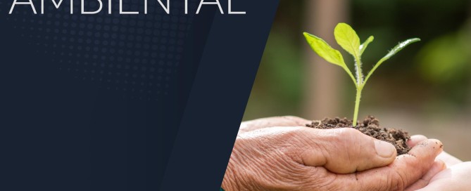 DIREITO AMBIENTAL
